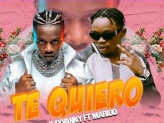 Rayvanny ft marioo - te queiro - mp3 download